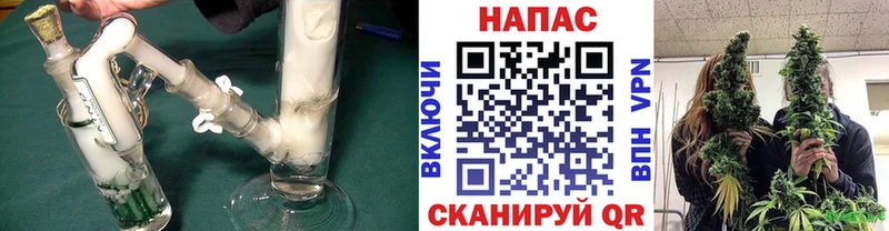 Бошки Шишки конопля даркнет сайт Волгореченск